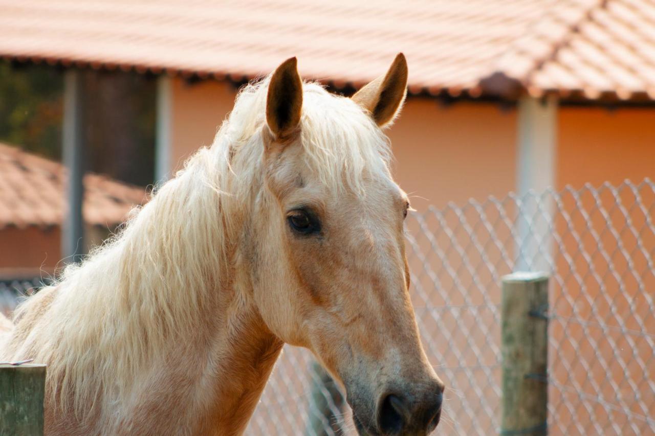 Hotel Fazenda Ararita Pôrto Feliz Exteriör bild