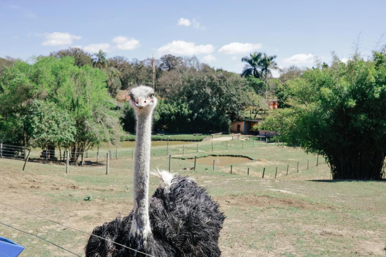 Hotel Fazenda Ararita Pôrto Feliz Exteriör bild