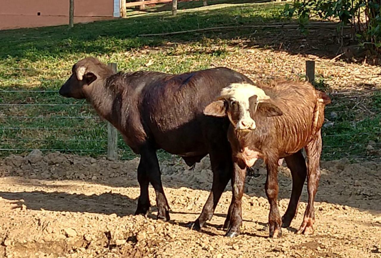 Hotel Fazenda Ararita Pôrto Feliz Exteriör bild